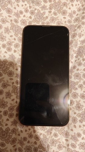 Iphone pro max 256 gb - 13,